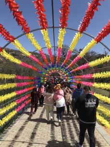 桃花涧-连云港-YoYo_8T9X7P5I