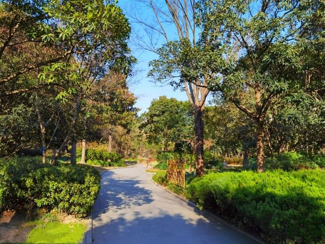 漕溪公园旅行图片 2