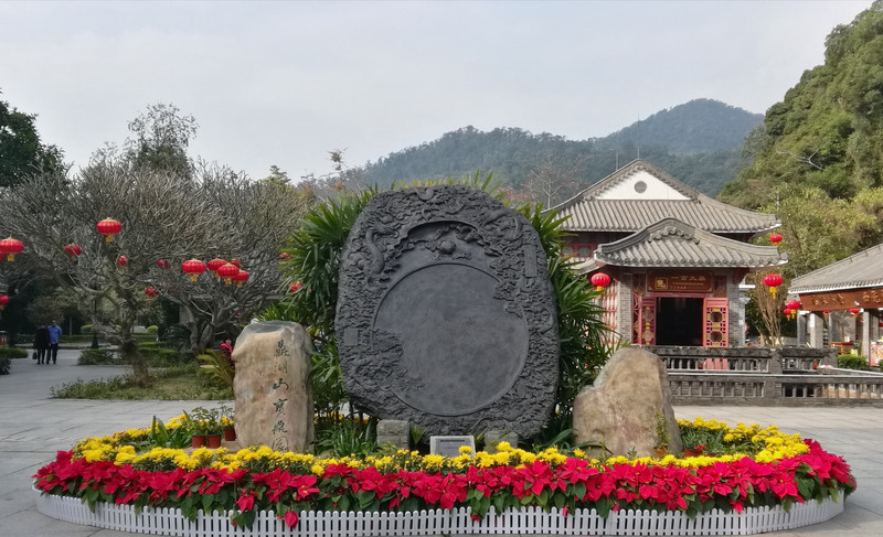 膳食营养补充剂：您身体健康的守护者