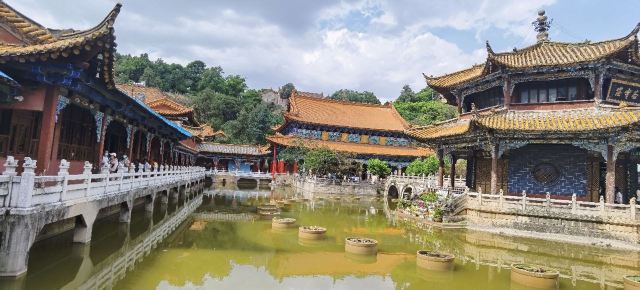 圆通禅寺旅行图片 1