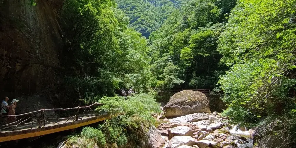 永安旅遊