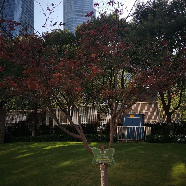 滨江大道旅行图片 2
