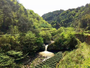 新昌游记图文-“东南眉目”绍兴新昌①大佛寺，鼓山公园