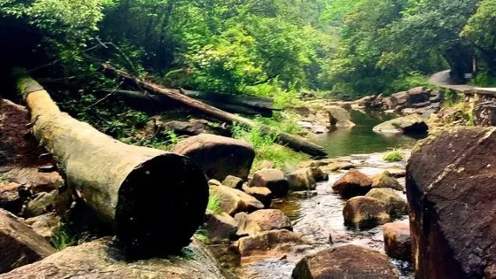 湖南莽山國家級自然保護區-鬼子寨景區