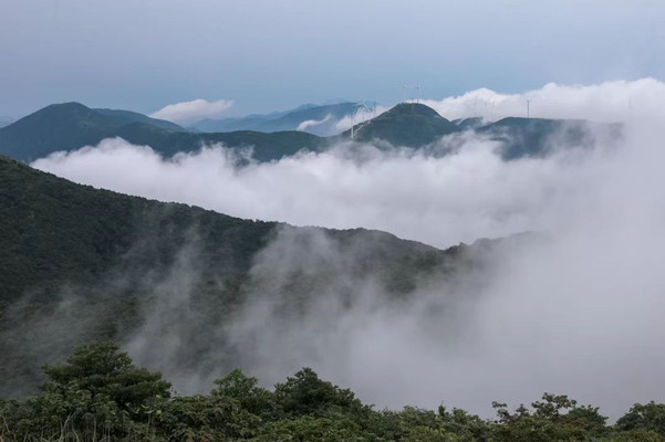 宁波周末去哪儿？趁着五月的好天气，来一场大汗淋漓的徒步游吧！