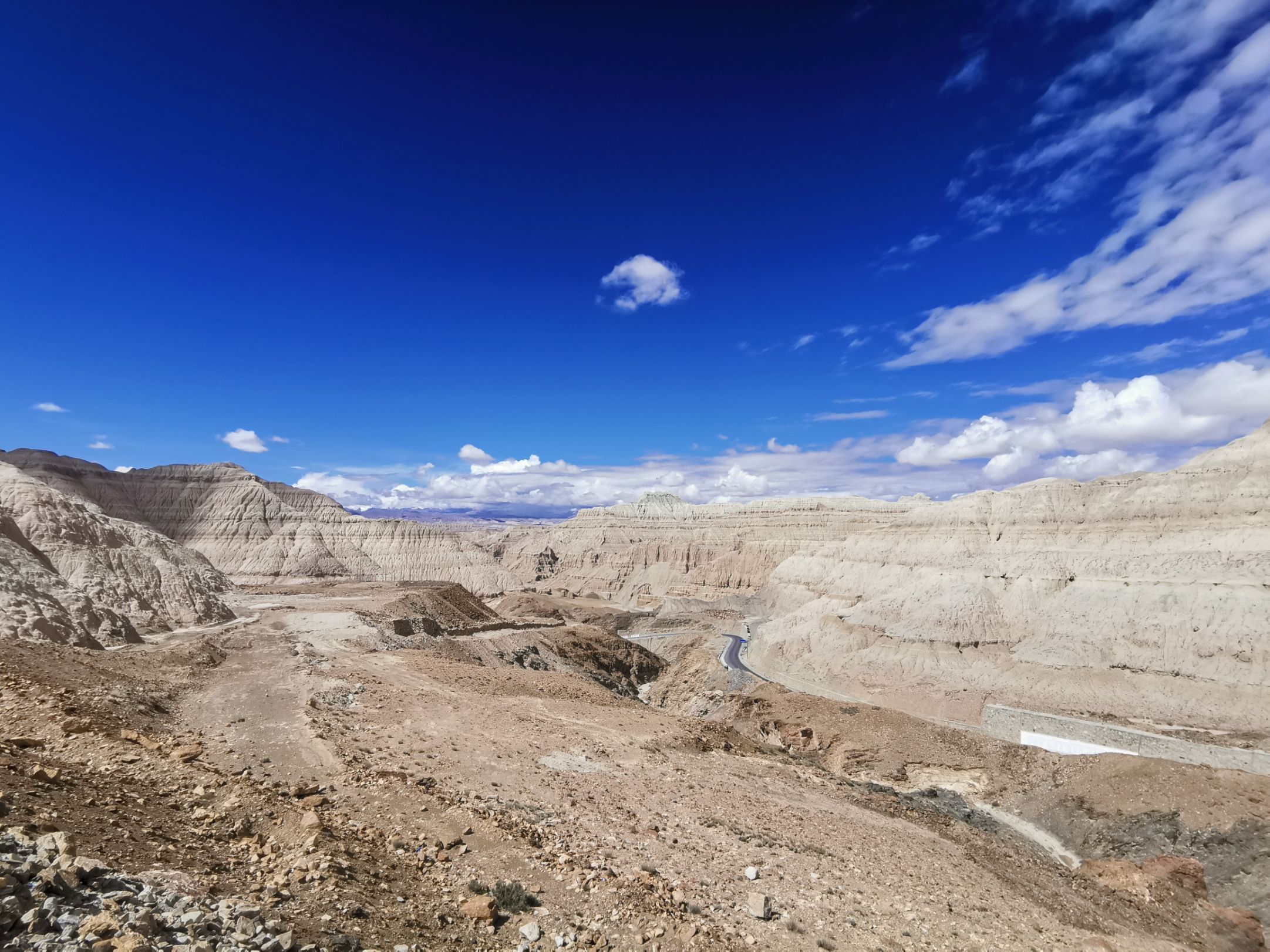 Tibet Ali Zanda soil forest