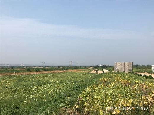 陶寺遗址