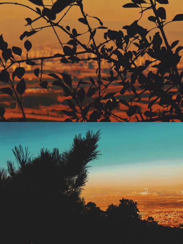 崛围山旅行图片 7