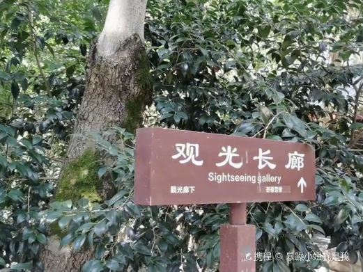 观光长廊
