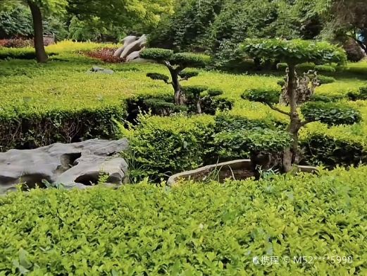 金城盆景园