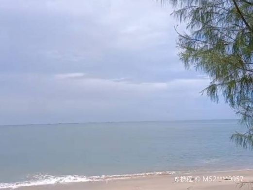 南山海沙滩