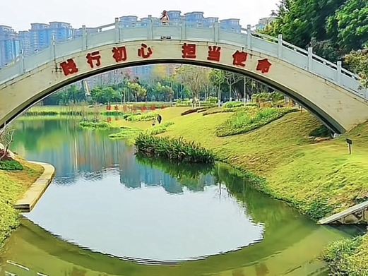 黄陂湖湿地
