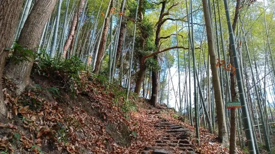 茶遼古道