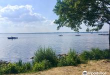 Badeinsel Steinhude景点图片