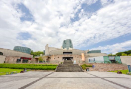 龙泉青瓷博物馆景点图片