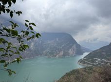 长江-宜昌-岱山香橙