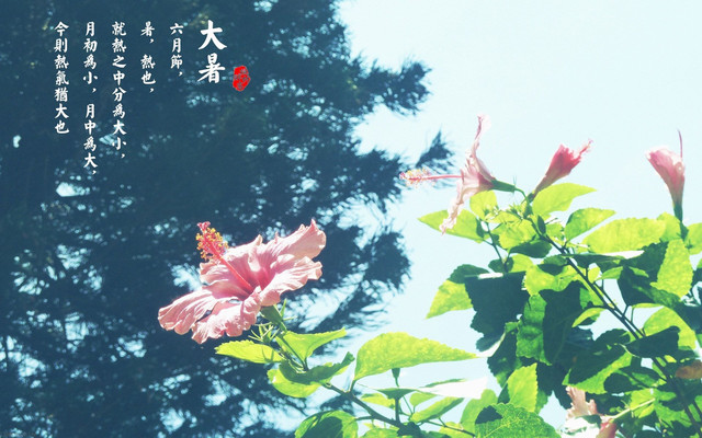 适合谈恋爱的夏天,广州情侣应该怎么浪漫?