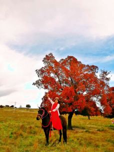 驼峰岭天池-扎兰屯-Saweizhen