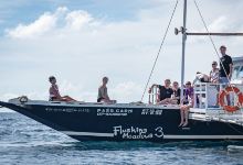 Fish Buddies购物图片