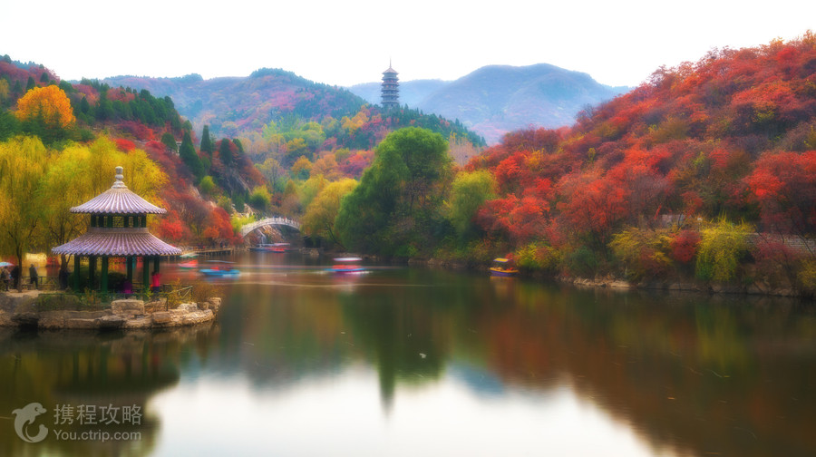 紅葉谷