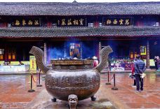 报国寺-峨眉山-轻轻的一个蚊