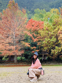 台湾游记图片] 秋天追楓去~ 帶你走進有「台灣九寨溝」美稱的武陵農場  看那深秋的楓紅層層