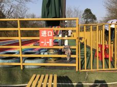 墨潭桃花岛-吉水-YoYo_8D9I1D3A