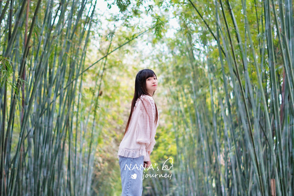 清新肇庆,春光里的小确幸
