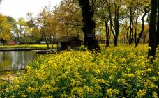 林州天平山风景区-林州-一杯清茶看春秋！