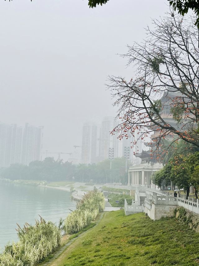 邕江北岸公园旅行图片 1