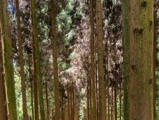 娄山关景区-遵义-gz当地向导伊妹儿