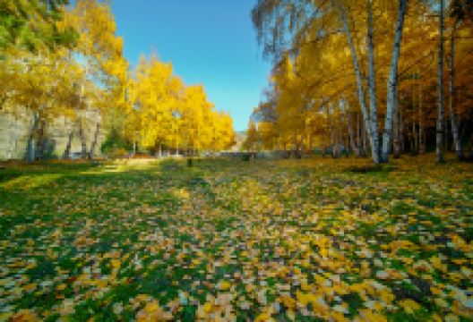 哈熊沟景点图片