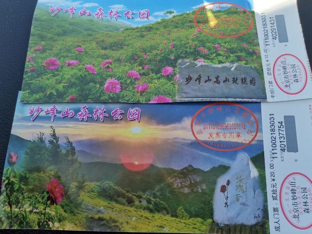 玫瑰谷旅行图片 1