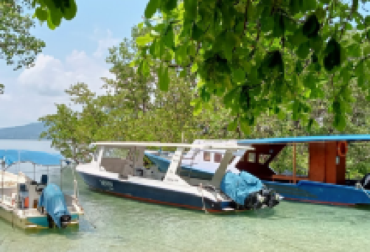 Two Fish Divers Bunaken潜水公司购物图片