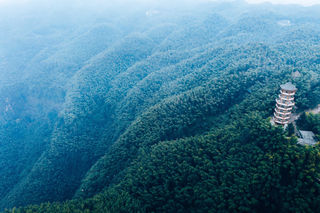 3日3晚蜀南竹海熊猫之旅：不可复制的家乡