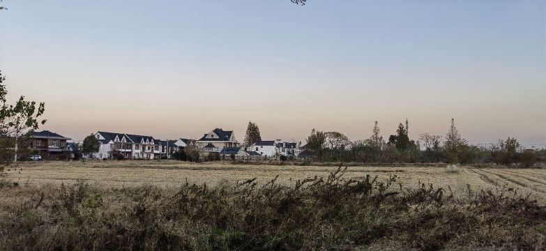 大雄农家乐餐厅(崇明森林公园店)