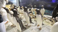 海滨城浩海立方海洋公园-成都-C-IMAGE