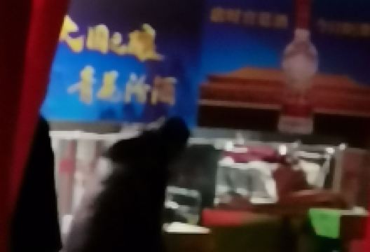 真诚超市(虹霞东路店)购物图片