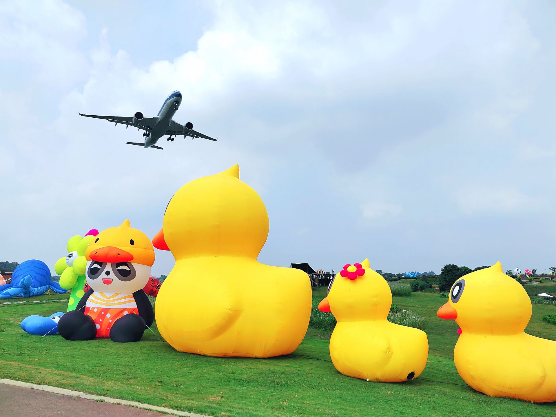 空港花田