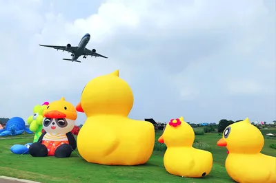 空港花田