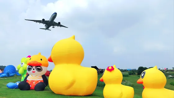 空港花田