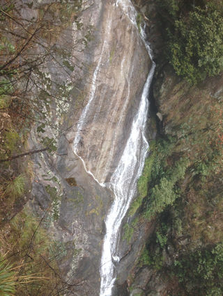 东天目山,瀑布峡谷和森林