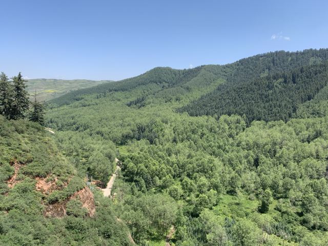 峡群寺森林公园旅行图片 7