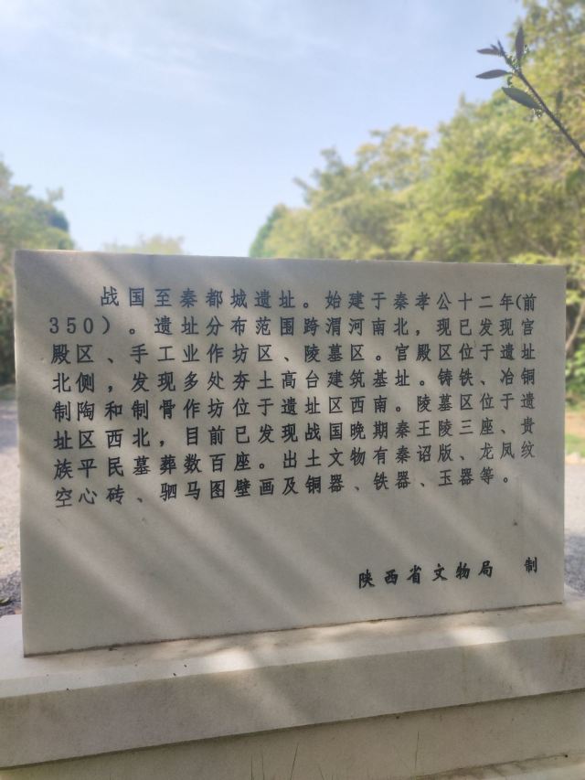 秦咸阳城咸阳宫国家考古遗址公园旅行图片 15