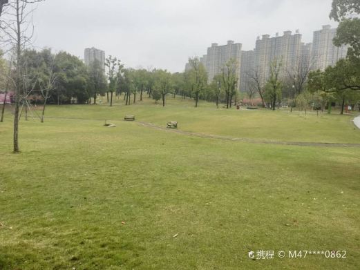 芦山公园