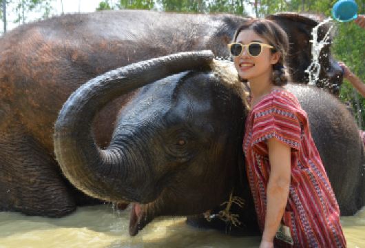 普吉奈迪大象营半日游：亲子互动喂食洗澡，多场次可选趣味体验【亲手给大象喂食、共浴，解锁专属亲密接触瞬间，轻松出温馨大片】