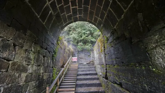 龍虎大道