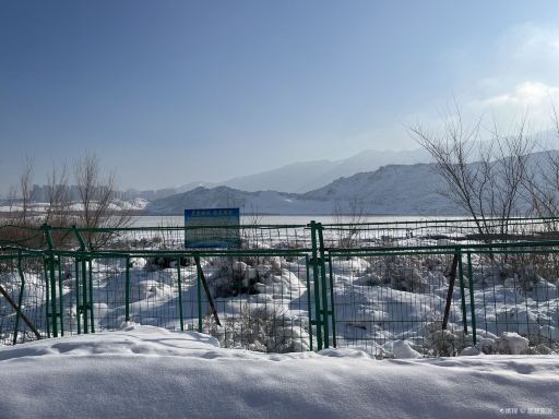 白鸟湖湿地