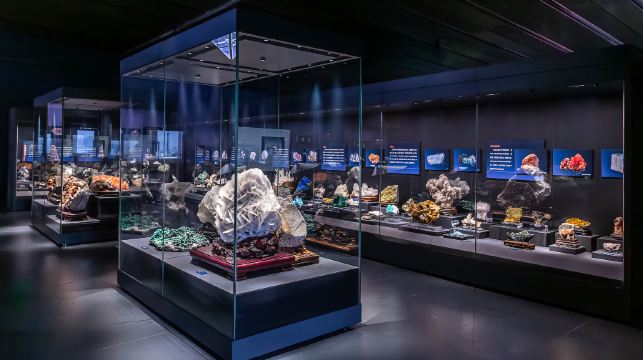 中国古动物馆(保定自然博物馆)