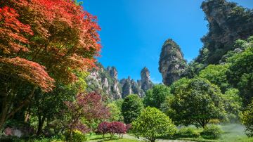 老磨湾大氧吧广场